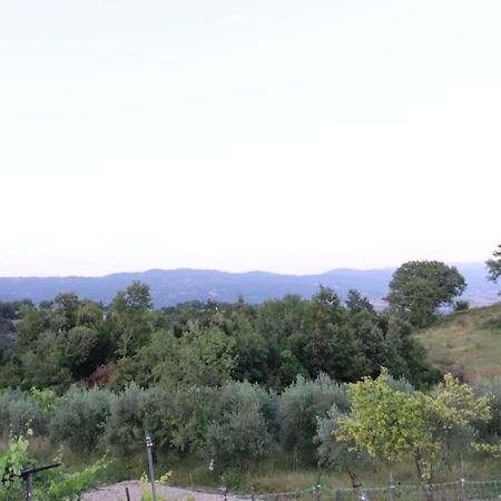 Ligustro Home Laino Borgo Buitenkant foto